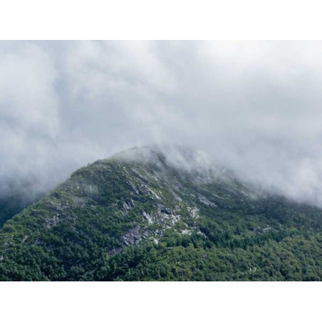 Intelligent Bronze Watch fr-FR